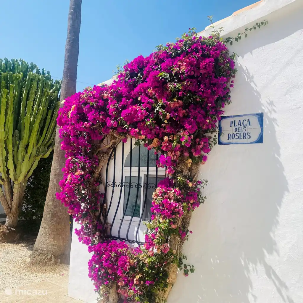Villa Estrella de Mar