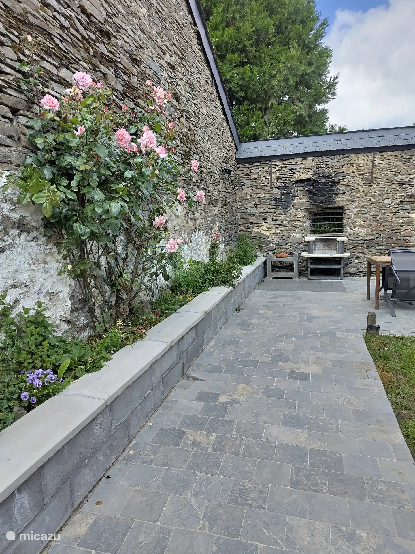 Fleurs dans le patio