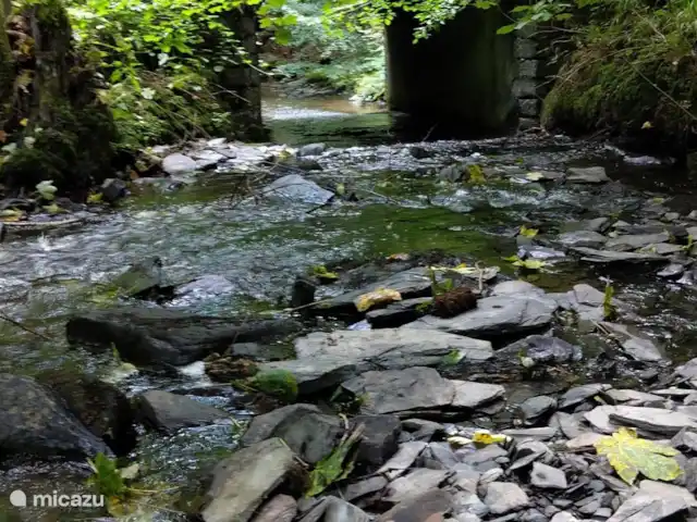 La Ferme Oubliée | Belgique, Ardennes, Paliseul - gîte / cottage Forêt à Fays-Les-Veneurs avec le ruisseau « Les Aleines ».