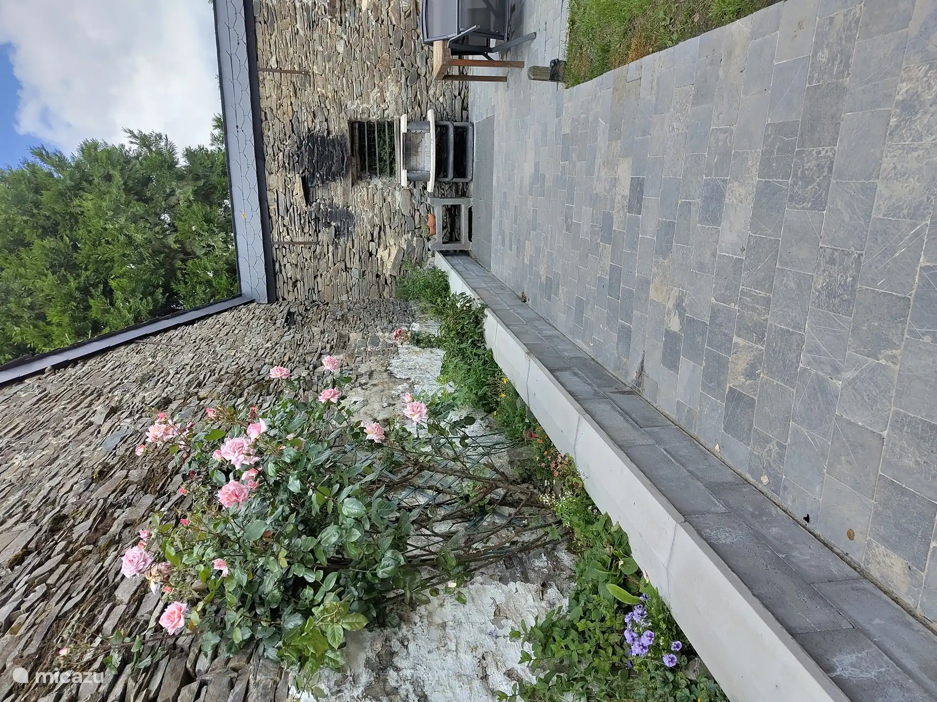 Fleurs dans le patio