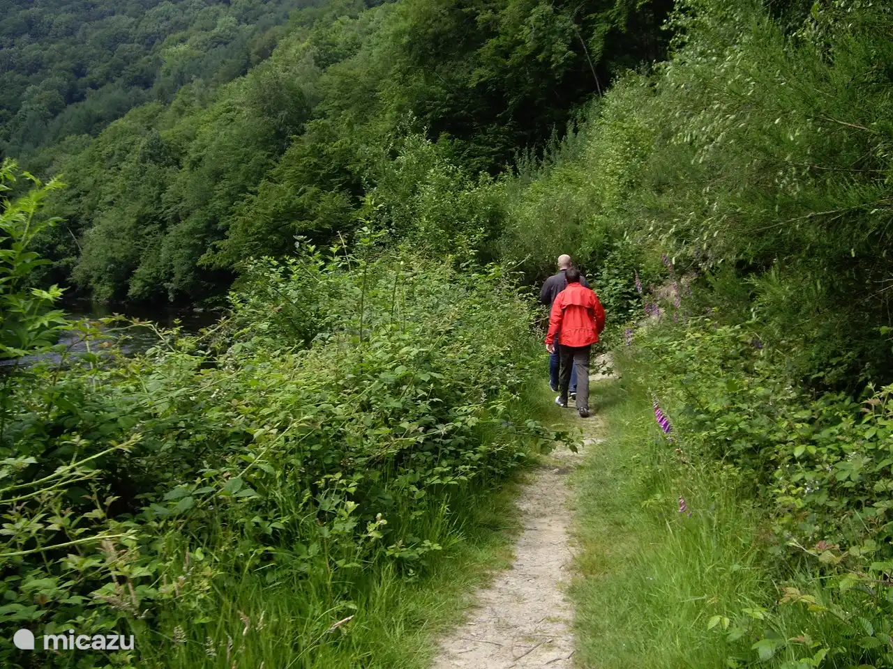 Randonnée à Paliseul