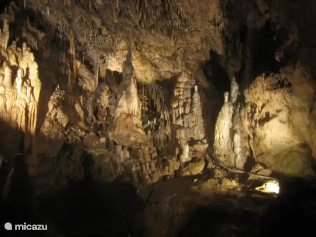 La Ferme Oubliée | Belgique, Ardennes, Paliseul - gîte / cottage Les grottes de Han