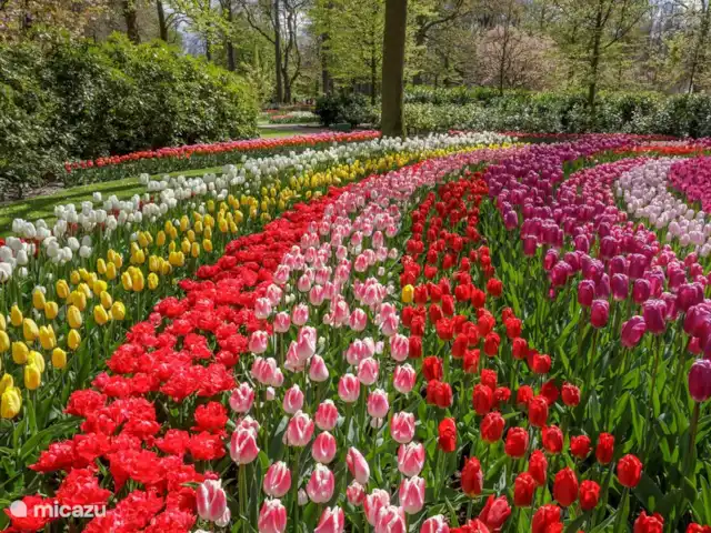 Pura Vida del Río en Países Bajos, Holanda Meridional, Oude Ade - apartamento región del bulbo 20 min
