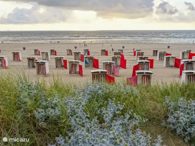 Pura Vida del Río en Países Bajos, Holanda Meridional, Oude Ade - apartamento playa 25 minutos