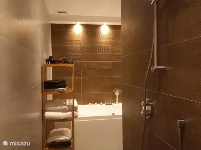 Panorama Pura Vida | Pays-Bas, Hollande méridionale, Oud Ade - villa salle de bain 1 avec bain à remous