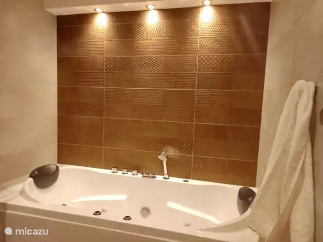 Panorama Pura Vida | Pays-Bas, Hollande méridionale, Oud Ade - villa le jacuzzi
