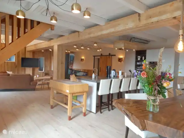 Panorama Pura Vida | Pays-Bas, Hollande méridionale, Oud Ade - villa autre côté