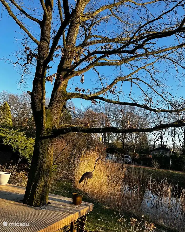 Der Park ist sehr grün und grenzt an den Loohuisbos.