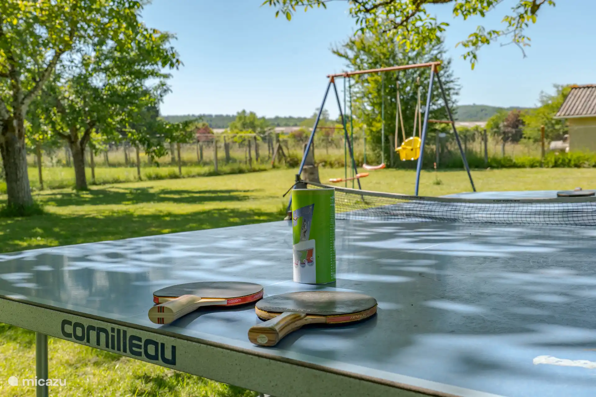 Table tennis