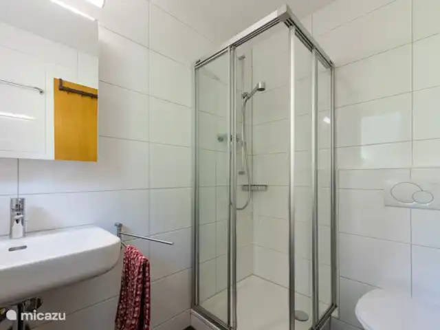 Chalet Jewel Casa Familiar en Suiza, Valais, Fieschertal - chalet Baño1 Tríplex