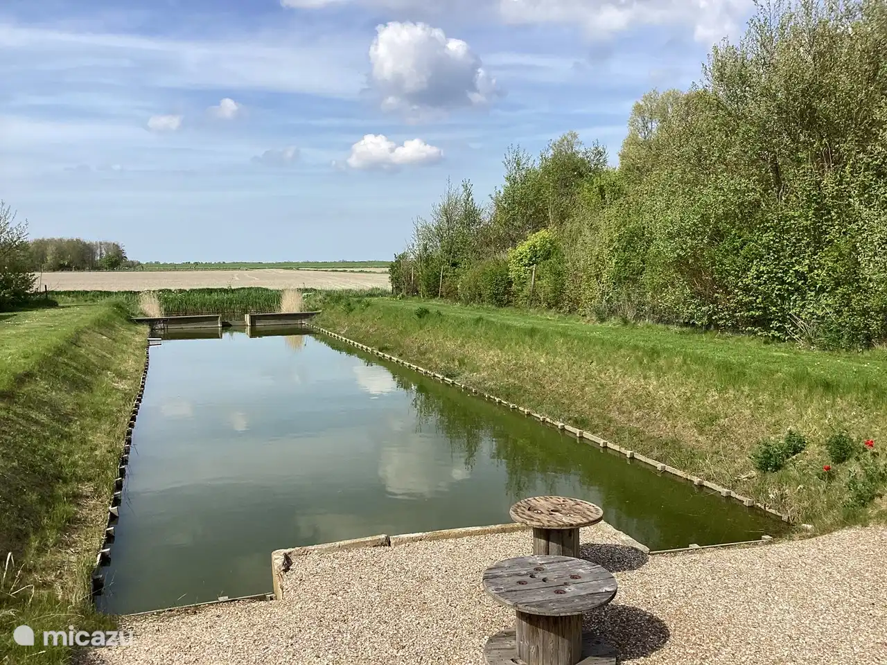 héron, canetons, hirondelles et parfois un martin pêcheur