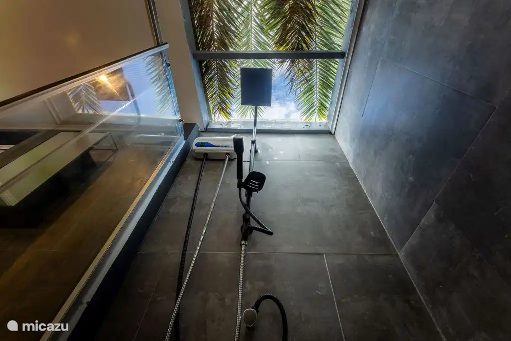 während du unter der Dusche bist, kannst du die Palmenblätter bewundern :)