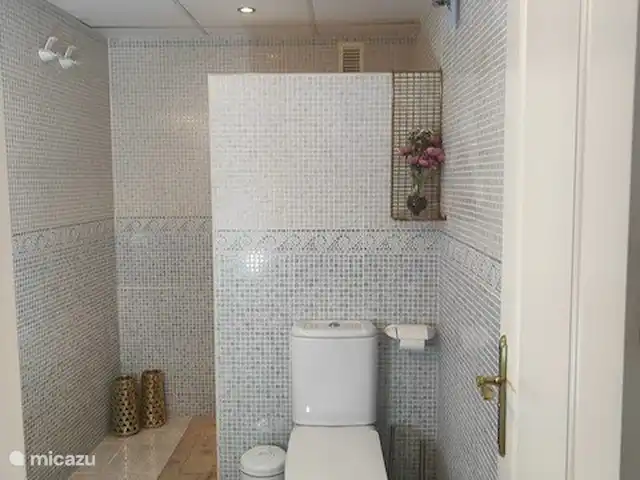 Location de Vacances Espagne, Costa del Sol, Marbella Elviria, appartement - Pino, résidence de golf Don Carlos 2ème salle de bain et toilettes