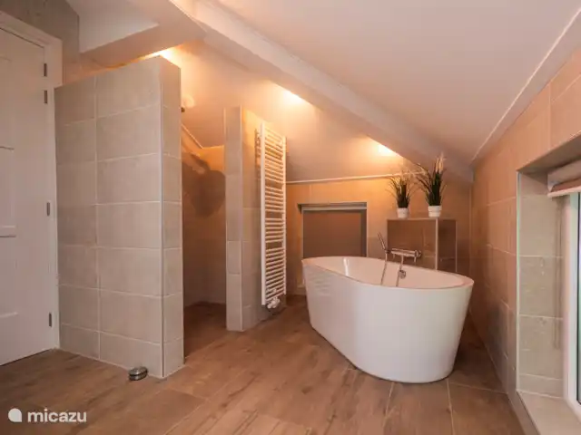 Villa sur l'eau Plas van Francke | Pays-Bas, Overijssel, Sibculo - maison de vacances Salle de bain luxueuse avec baignoire et douche séparée (pluie)