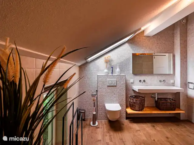 Villa sur l'eau Plas van Francke | Pays-Bas, Overijssel, Sibculo - maison de vacances Double lavabo et toilettes