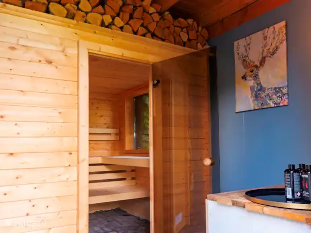 Villa sur l'eau Plas van Francke | Pays-Bas, Overijssel, Sibculo - maison de vacances Sauna