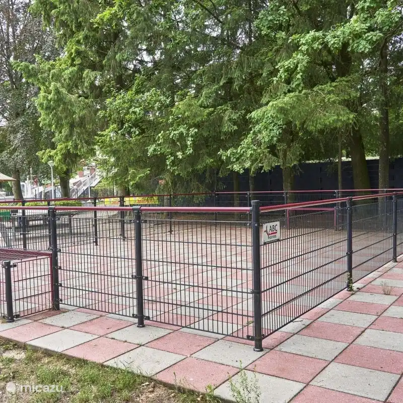 Lekker voetballen doe je op het voetbalveld of in de pannakooi. Met je gezin, nieuwe vakantievriendjes of met ons animatieteam. Want in de vakanties worden er regelmatig wedstrijdjes georganiseerd. Doe je dan ook mee?

