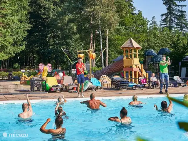 Chalet de Wildspot huren in Nederland, Gelderland, Beekbergen - chalet het grote zwembad met de bruisputten, stroomversnelling en stortdouche.