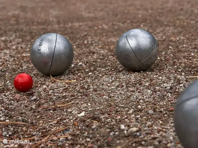 Chalet de Wildspot huren in Nederland, Gelderland, Beekbergen - chalet jeu de boulesbaan