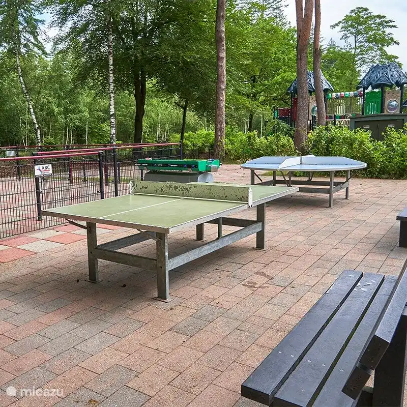 Lekker pingpongen, rondje om de tafel.. Een populaire plek om nieuwe vriendjes en vriendinnetjes te maken. Neem dus vooral je tafeltennisbatjes mee!