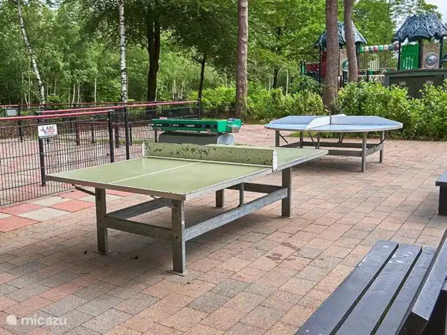 Chalet de Wildspot huren in Nederland, Gelderland, Beekbergen - chalet Lekker pingpongen, rondje om de tafel.. Een populaire plek om nieuwe vriendjes en vriendinnetjes te maken. Neem dus vooral je tafeltennisbatjes mee!