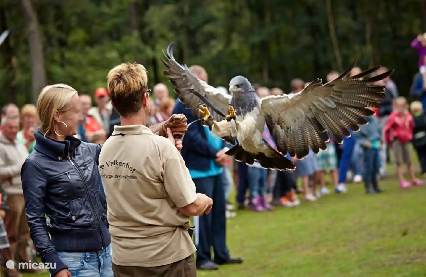 Iedere week in de zomer is er wel een Family Fun activiteit. Dat zijn activiteiten voor het hele gezin. Veel gezinnen doen mee met midgetgolfen, maar ook de huifkartocht over de Veluwe is populair. Zijn jouw kinderen niet snel onder de indruk? Dan moet je zeker naar de roofvogelshow komen kijken.