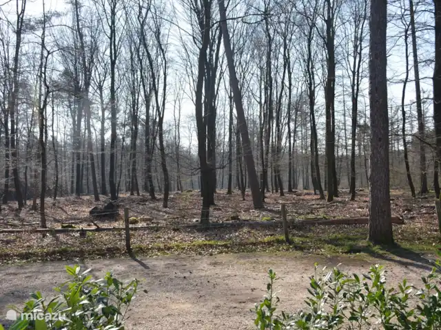 Chalet de Wildspot huren in Nederland, Gelderland, Beekbergen - chalet Winter in het bos. Prachtig uitzicht vanaf ons chalet. Heerlijke plek voor een wandeling of fietstocht. En met een beetje geluk spot je nog wild.