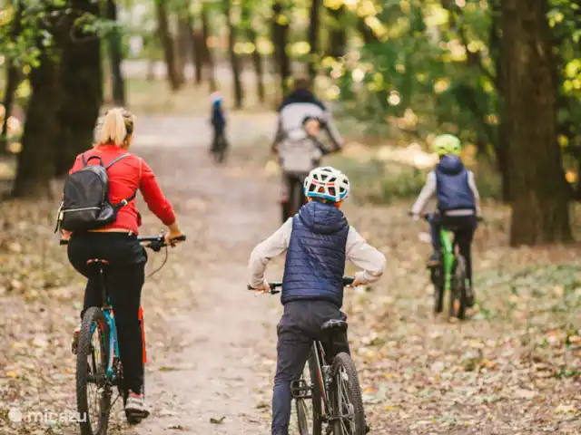 Chalet de Wildspot huren in Nederland, Gelderland, Beekbergen - chalet Ontdek de Veluwe al fietsend vanaf ons chalet. Het knooppuntennetwerk is geweldig. Bepaal zelf de afstand en fiets van knooppunt naar knooppunt.