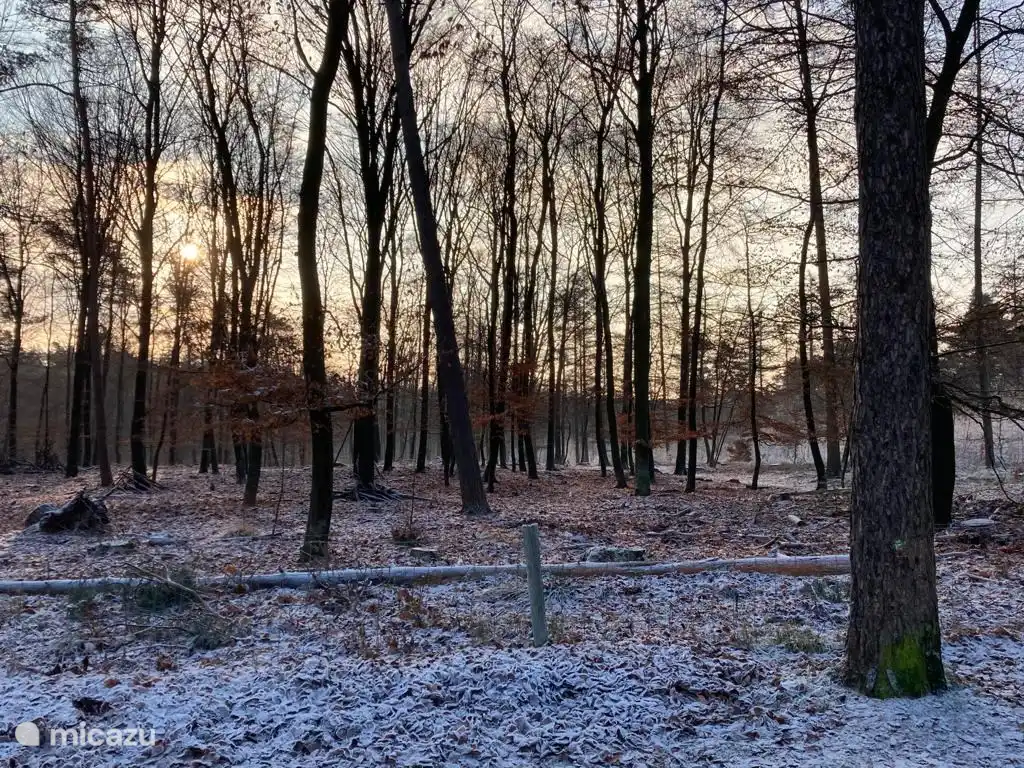 Ook in de winter is het prachtig vertoeven in ons chalet. Zeg nou zelf, dit is toch een geweldig uitzicht. En dit is het uitzicht vanaf ons chalet. 