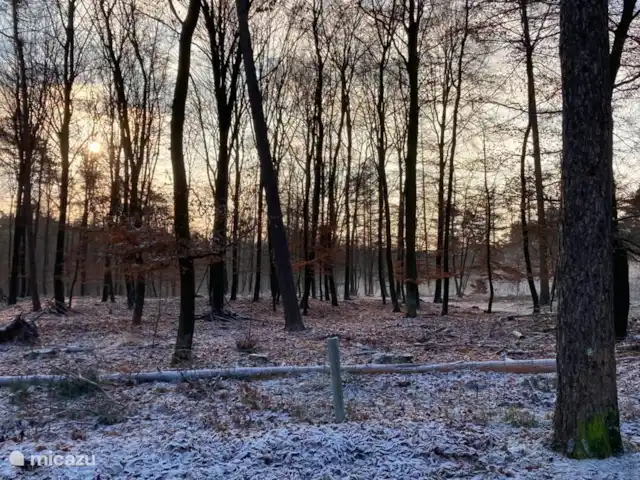 Chalet de Wildspot huren in Nederland, Gelderland, Beekbergen - chalet Ook in de winter is het prachtig vertoeven in ons chalet. Zeg nou zelf, dit is toch een geweldig uitzicht. En dit is het uitzicht vanaf ons chalet.