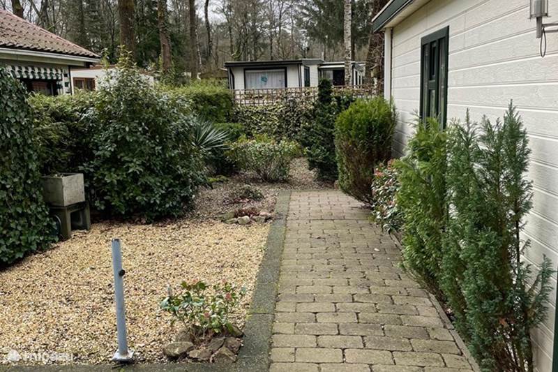 Vakantiehuis Nederland, Gelderland, Hoenderloo Chalet Ruim Boshuis 4-6p | Grote tuin | Bad