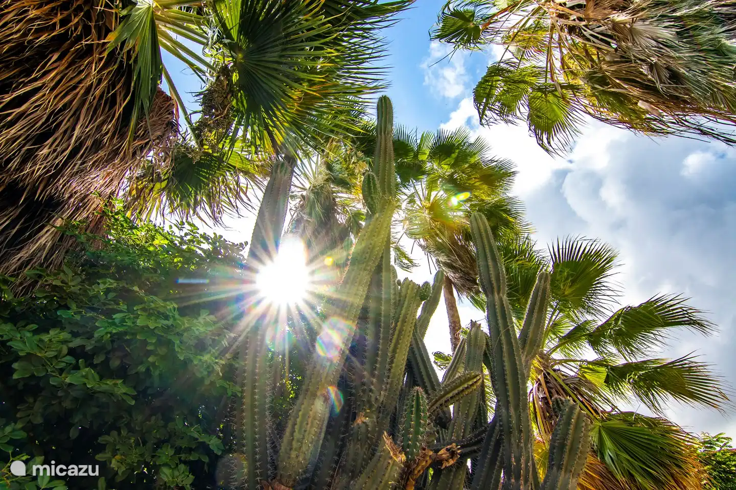 Tropischer Innengarten mit fantastischen Blumen, Pflanzen und Tieren.