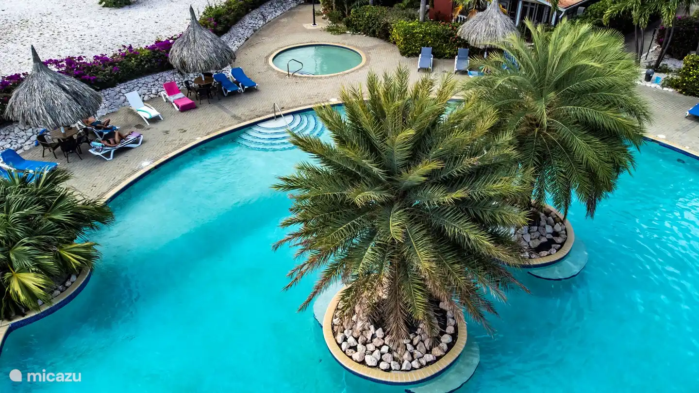 Luftaufnahme des Pools