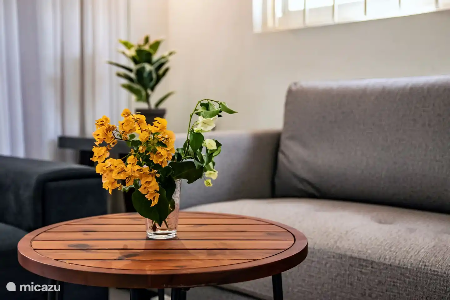 Rent Beautiful luxury apartment on resort in Willemstad, CuracaoMiddle