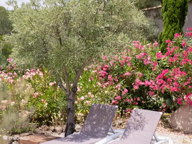 Villa Vesenca | France, Hérault, Prades-sur-Vernazobre - villa