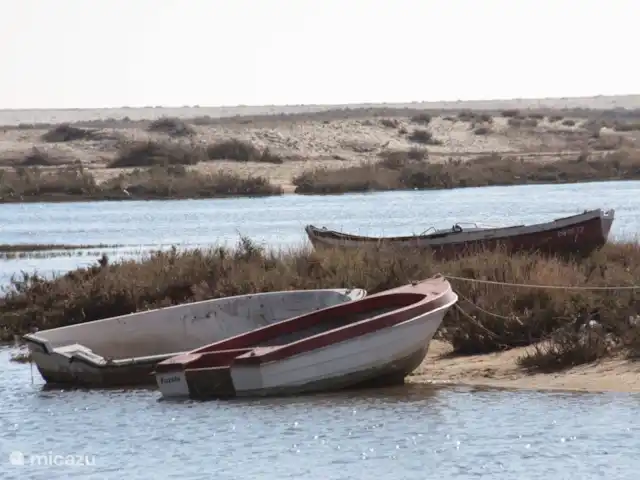 Location de Vacances Portugal, Algarve, S.B. de Messines, appartement - Casa Azul à Casa Grande Vale