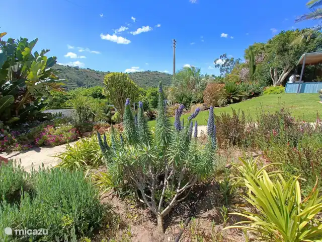 Juego de petanca, Portugal, Algarve, S.B. de Messines, apartamento Casa Roxa en Casa Grande Vale