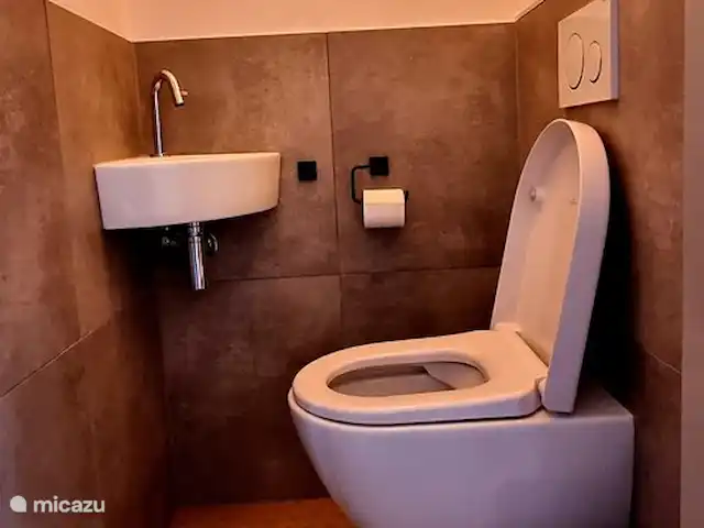 Paruline des bois - 1 | Pays-Bas, Gueldre, Halle - maison de vacances Sous les toilettes