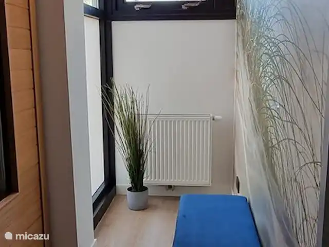 Paruline des bois - 1 | Pays-Bas, Gueldre, Halle - maison de vacances Sauna