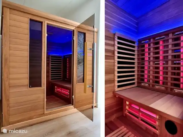 Paruline des bois - 1 | Pays-Bas, Gueldre, Halle - maison de vacances Sauna
