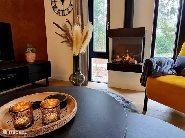 Paruline des bois - 1 | Pays-Bas, Gueldre, Halle - maison de vacances Salon d'ambiance