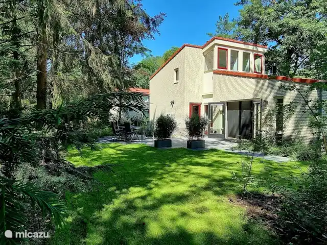 Paruline des bois - 1 | Pays-Bas, Gueldre, Halle - maison de vacances Cour