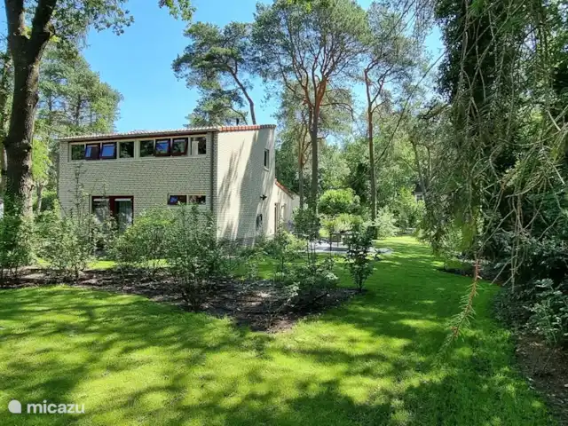 Paruline des bois - 1 | Pays-Bas, Gueldre, Halle - maison de vacances Cour