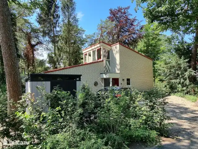 Paruline des bois - 1 | Pays-Bas, Gueldre, Halle - maison de vacances Cour avant