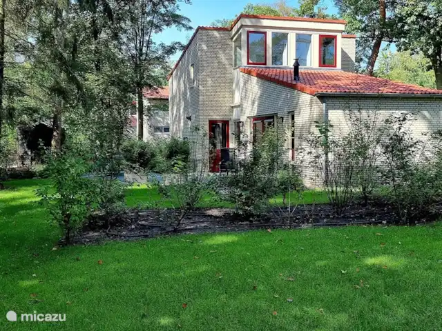 Paruline des bois - 1 | Pays-Bas, Gueldre, Halle - maison de vacances Cour