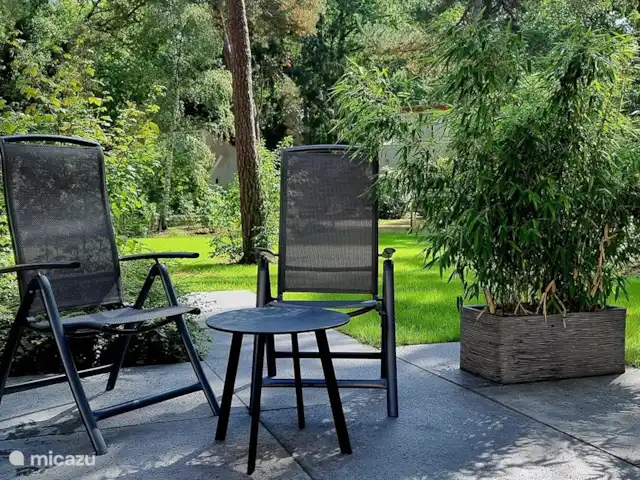 Paruline des bois - 1 | Pays-Bas, Gueldre, Halle - maison de vacances 6 pers. ensemble de jardin