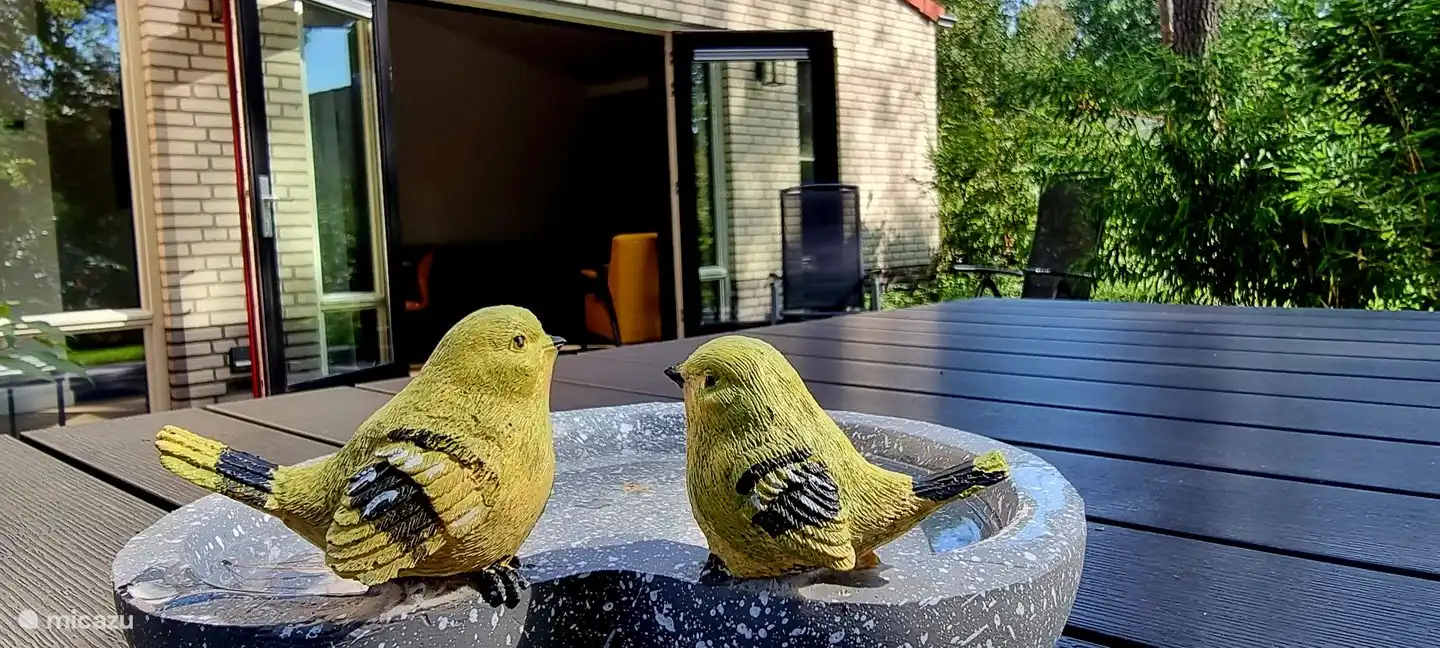 Gemütlicher Hinterhof