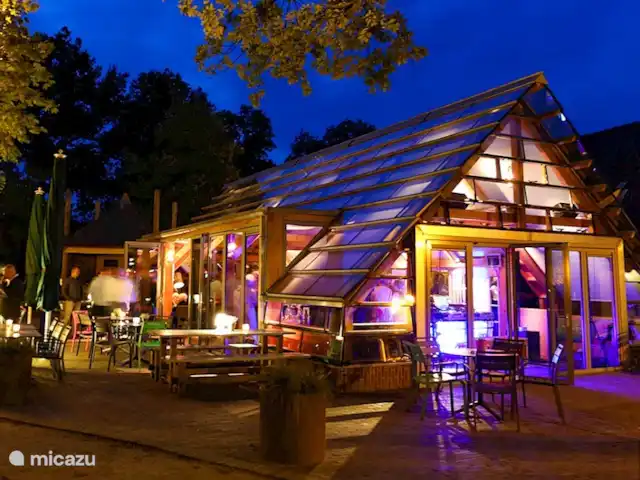 Paruline des bois - 1 | Pays-Bas, Gueldre, Halle - maison de vacances Crêperie Heikamp
