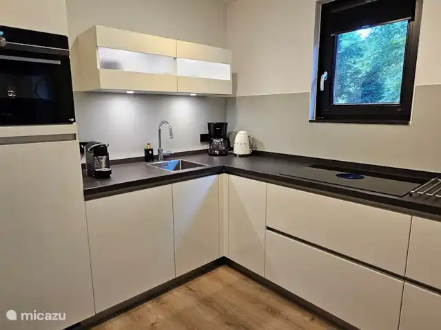 Paruline des bois - 1 | Pays-Bas, Gueldre, Halle - maison de vacances Cuisine de luxe entièrement équipée
