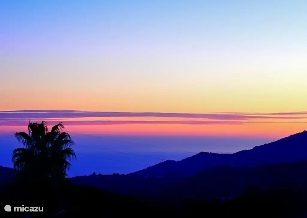 This photo comes from our neighbor; one of the palm trees with setting sun.